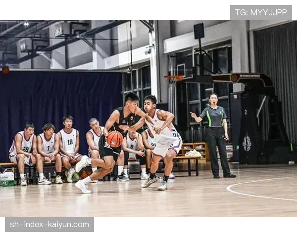 深度报道：体教融合新范例，多名CUBA明星球员在CBA季后赛得到锻炼